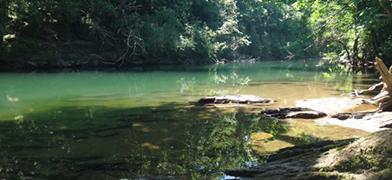 Niveaux d'eaux / Vigicrue