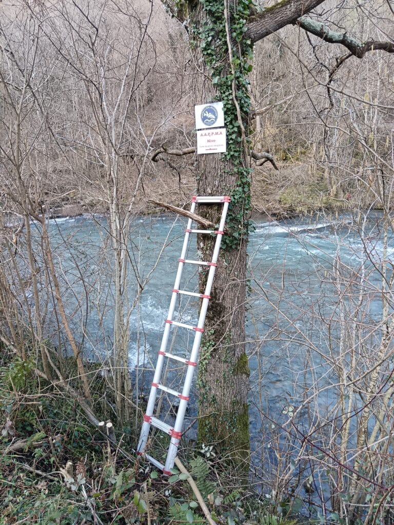 panneautage